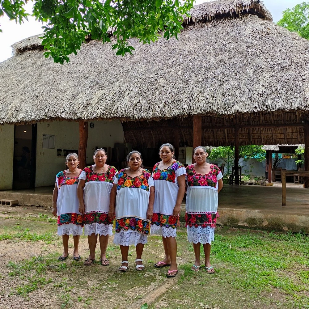 El rol de los cenotes en el ecosistema de Yucatán